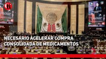 Necesario acelerar compra consolidada de medicamentos Frinné Azuara