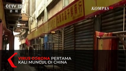 Mengapa Sejumlah Virus Berbahaya Muncul dari China? Termasuk Virus Corona