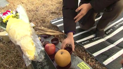 "조상님 뵈러 왔어요"...공원 묘지에 성묘객 '북적' / YTN