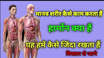 What is Harmon | हार्मोन क्या हैं | Harmon | हार्मोन | hormone | the science news hindi