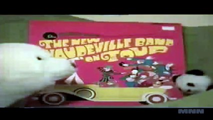 Wild Record Collection Moon Special