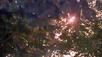 THE VIRGIN SUICIDES Film