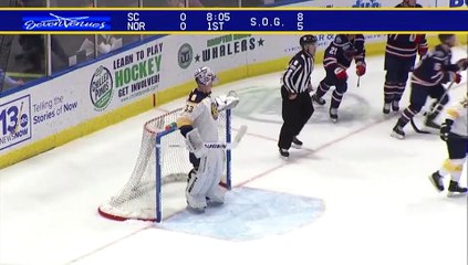 Game Recap - South Carolina Stingrays at Norfolk Admirals