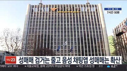 성매매 검거는 줄고 음성 채팅앱 성매매는 확산