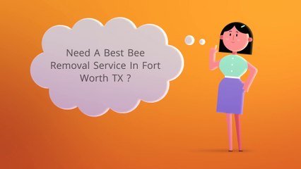 Bee Removal In Fort Worth TX