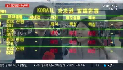 설 맞은 서울역 '북적'…"더 자주 찾아 뵐게요"