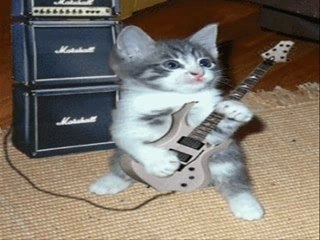 ROCK N ROLL CATS - video Dailymotion