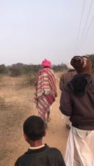 tiddi attack in rajasthan,#tiddiattackinindia,#tiddiattackinjalor