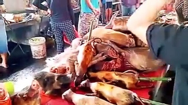 there are plasce where they spread the corona waraaw . these areas now complety sold inthis you can see what these pople eat bcz of which it spread the warsaw the name of this city this is where the wayrs is still in this city but throught what coms frm K