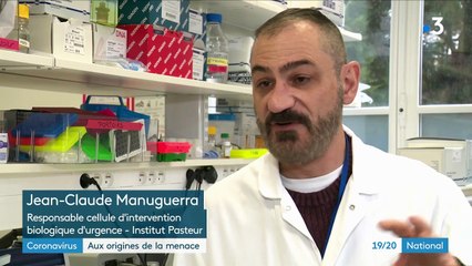 Coronavirus : aux origines de l'épidémie