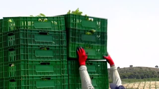 Fernández Vara pide a Trabajo analizar la relación entre el aumento del paro agrícola en Extremadura y la subida del SMI