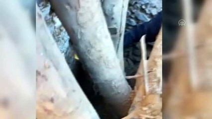 Malatya'da yıkılan ahırlarda mahsur kalan hayvanları itfaiye ekipleri kurtardı