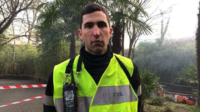 50 sapeurs-pompiers mobilisés pour l’incendie du zoo de la flèche