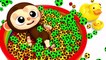 Learn Colors Little Baby Monkey Soccer Ball Finger Family Song Nursery Rhymes Kid Song