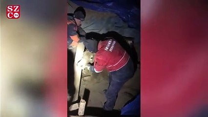 Göçük altında kalan hayvanlar kurtarıldı