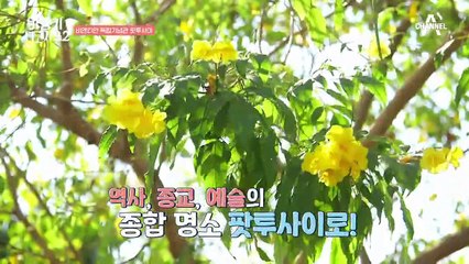 "정말 잘생겼어요" 외국인도 인정한 핸섬 신현준의 미모?!