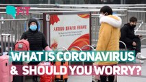 Even Your Common Cold is a Coronavirus And Other Facts to Know | The Quint