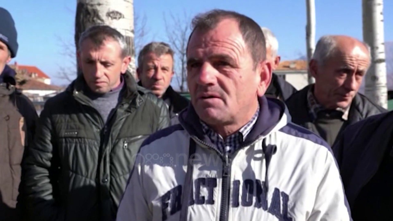Ora News - Pogradec: Fermerët i dorëzuan tonelata me duhan firmës private por nuk morën kurrë paratë