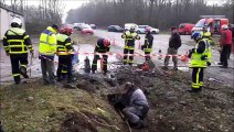 Bois-de-Haye (54) : un chien de chasse coincé dans une canalisation sauvé grâce aux sapeurs pompiers