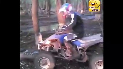 Thanh niên nghịch ngu và cái kết đắng lòng