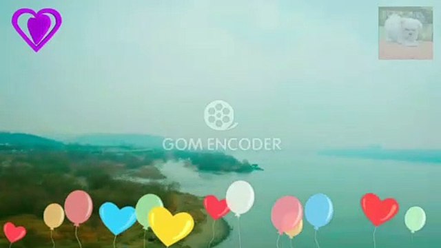 436 アフィリエイター収益最大化!最新SEO対策済み!wordpressテーマ「Diver」評判 感想 購入 特典 ブログ 評価 お試し ネタバレ 購入 レビュー 口コミ 令和