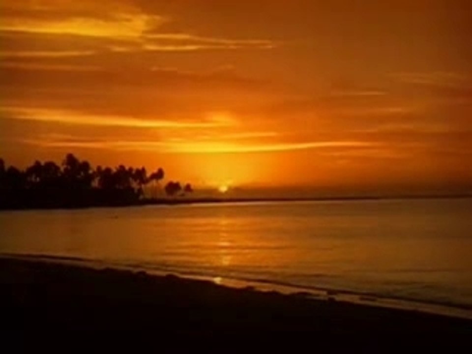 McCarthy Wholesale TV Commercial "Sunset"