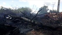 Incêndio em vegetação é registrado no Bairro Cascavel Velho