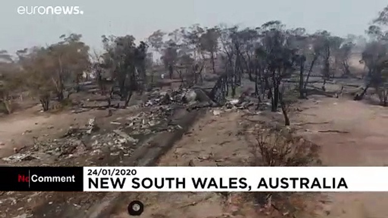 Australien: Drei Feuerwehrleute sterben beim Absturz einen Löschflugzeugs