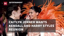 Caitlyn Jenner Wants Harry Styles To See Kendall Jenner Again