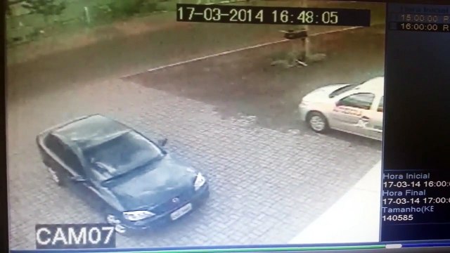 Ce cycliste va avoir une chance incroyable