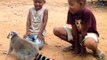 Un lémurien adore les calins et en redemande à ces enfants