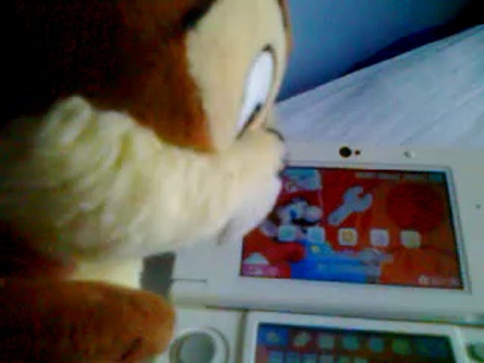 Quand un écureuil joue à la 3ds pour la première fois...