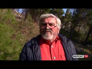 "Zhduket" kurora e gjelbër e Shëngjinit, specialisti i pyjeve: S'mund të kthehet më si më parë