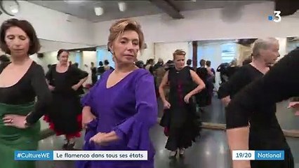 Danse : le flamenco fait son show à Paris
