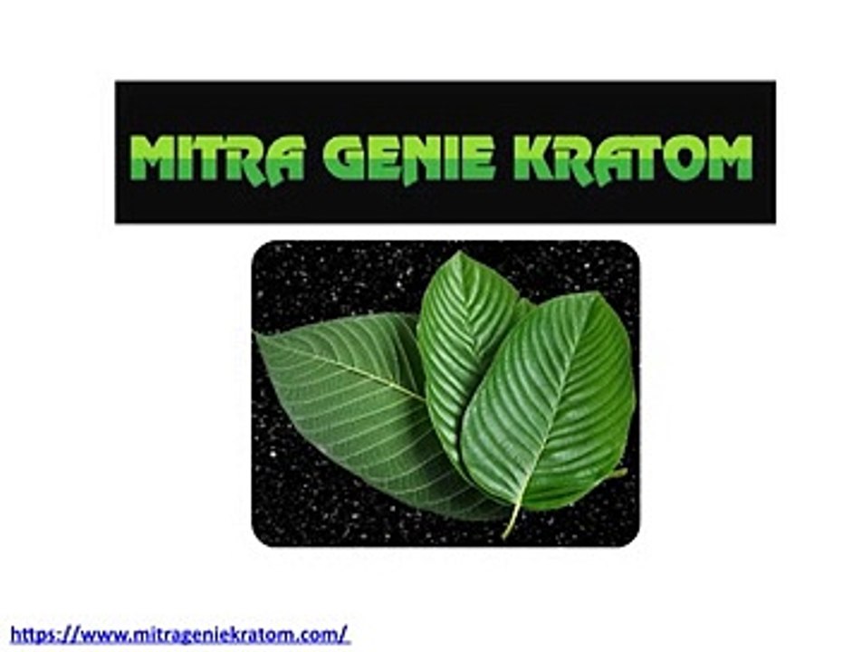 Mitra Genie Kratom