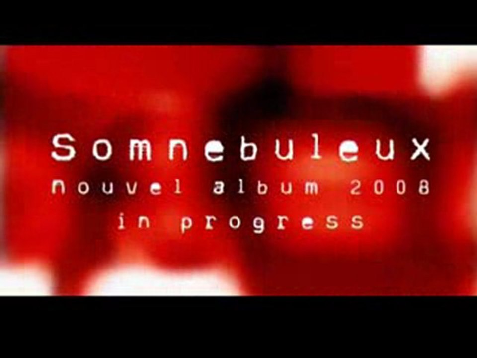 IN LIMBO - "Somnebuleux in progress" 2008 (Pied d'nez)