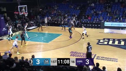 Caleb Martin (28 points) Highlights vs. Lakeland Magic