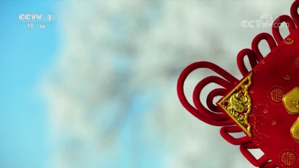 《2020中央广播电视总台春节联欢晚会》20200125完整海外版