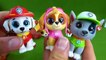Lots of Paw Patrol Toys Surprise Blind Bags TY Mini Boos Ultimate Rescue Pup Unboxing Toys Video