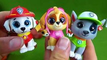 Lots of Paw Patrol Toys Surprise Blind Bags TY Mini Boos Ultimate Rescue Pup Unboxing Toys Video