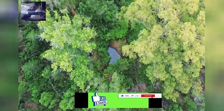 This Ultra Modern Tiny House Will Blow Your Mind - This ultra modern tiny house on wheels is tr...