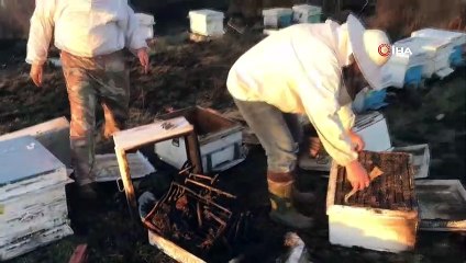 Çanakkale'de 30 kovan arı yandı