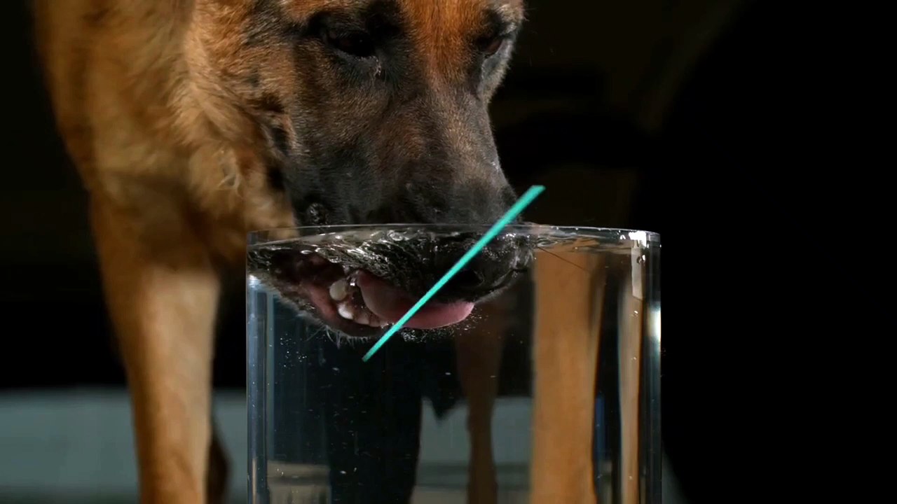 Popcorn in SLOW MOTION | REVERSE