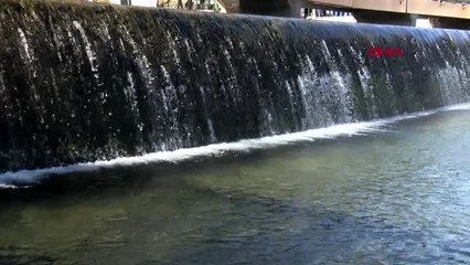 Kayseri eksi 2 derecede, yüzme şenliği