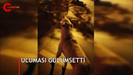 Köpeğin ilginç uluması gülümsetti