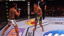 Top Finishes from UFC Raleigh Fighters