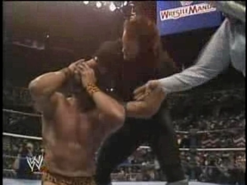 THE UNDERTAKER VS JIMMY SUPERFLY SNUKA