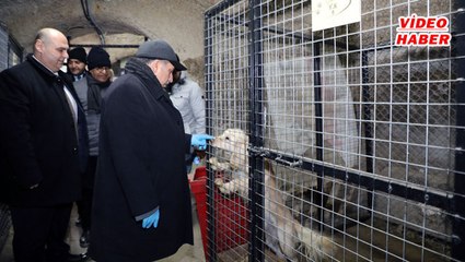 (26 Ocak 2020) PATİ KÖY KIŞIN DA GÜZEL