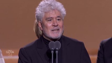 Almodóvar triunfa en los Goya con "Dolor y gloria"