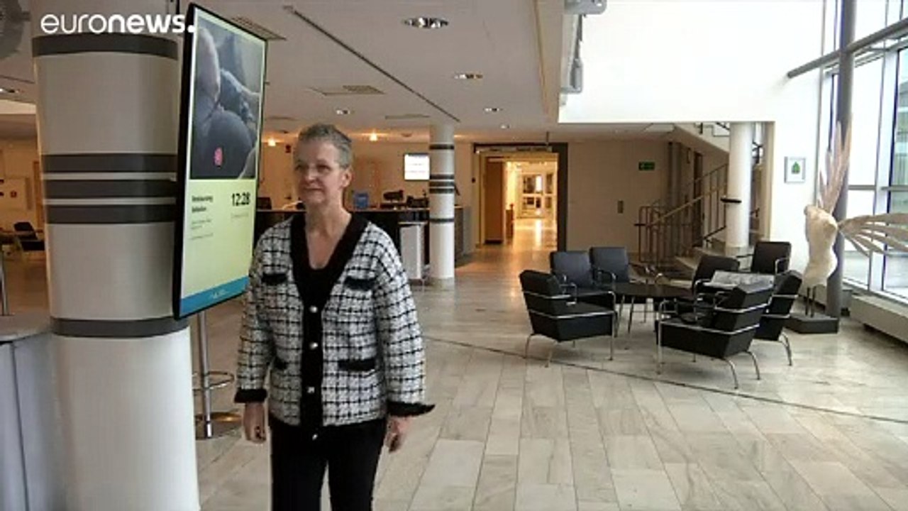 Kampf im hohen Norden: Rentierhalter gegen Silizium-Unternehmen